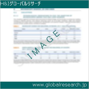 グローバルリサーチ調査レポートのイメージ